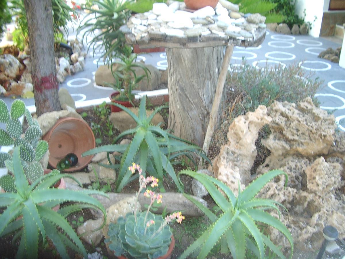 Skyros Panorama Studios Exterior foto